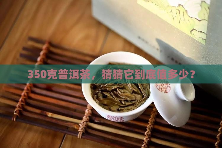 普洱茶350克多少钱