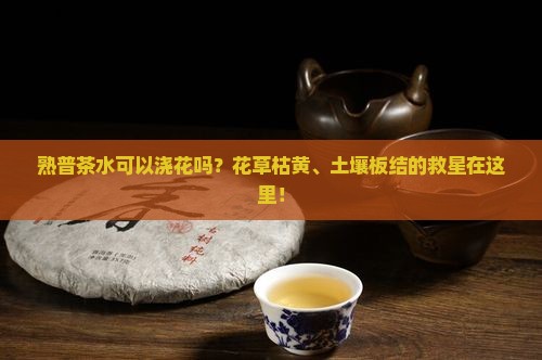 熟普茶水可以浇花吗