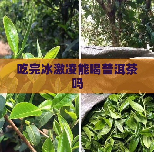 吃完冰激凌能喝普洱茶吗 吃完冰激凌能喝普洱茶吗