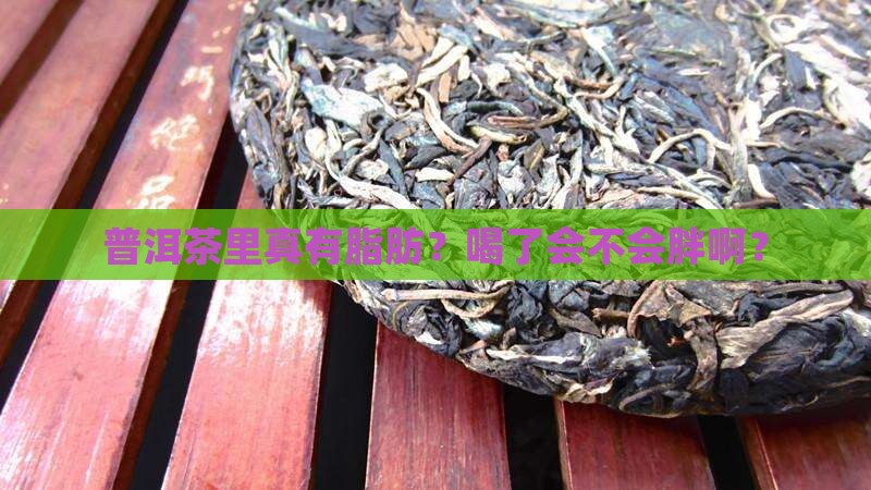 普洱茶里面有脂肪吗能喝吗