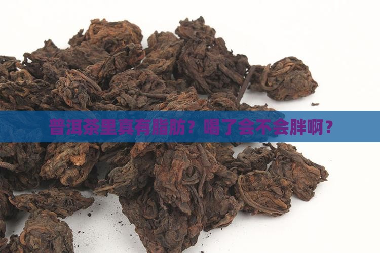 普洱茶里面有脂肪吗能喝吗