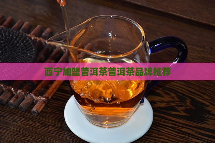 西宁加盟普洱茶推荐