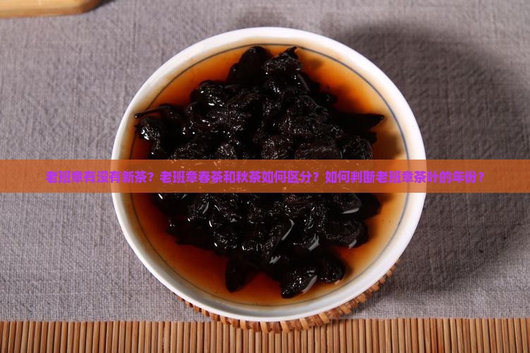 老班章有没有新茶