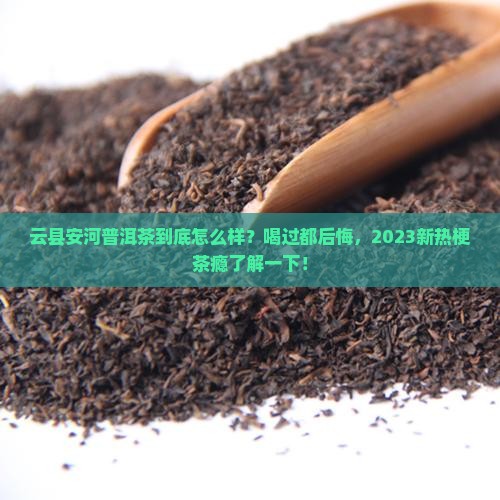云县安河普洱茶怎么样