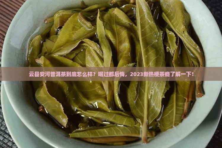 云县安河普洱茶怎么样