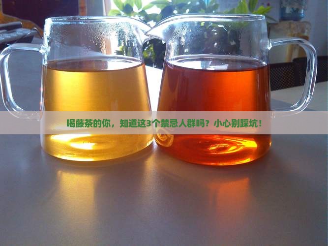 藤茶的功效与作用及禁忌人群