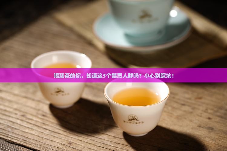 藤茶的功效与作用及禁忌人群
