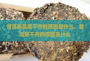 普洱茶良秀不齐的原因是什么