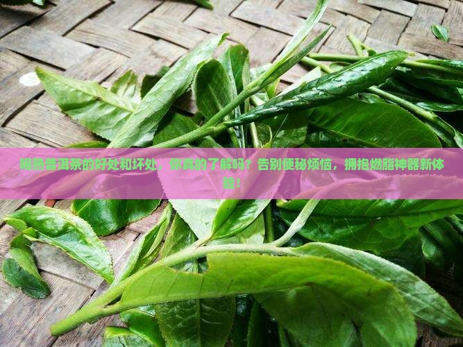 喝熟普洱茶的好处和坏处