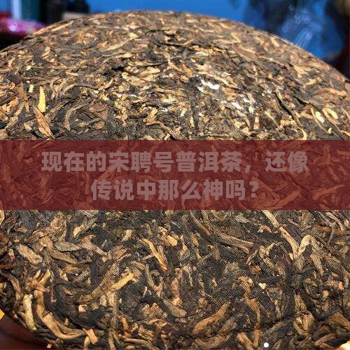 现在的宋聘号普洱茶如何