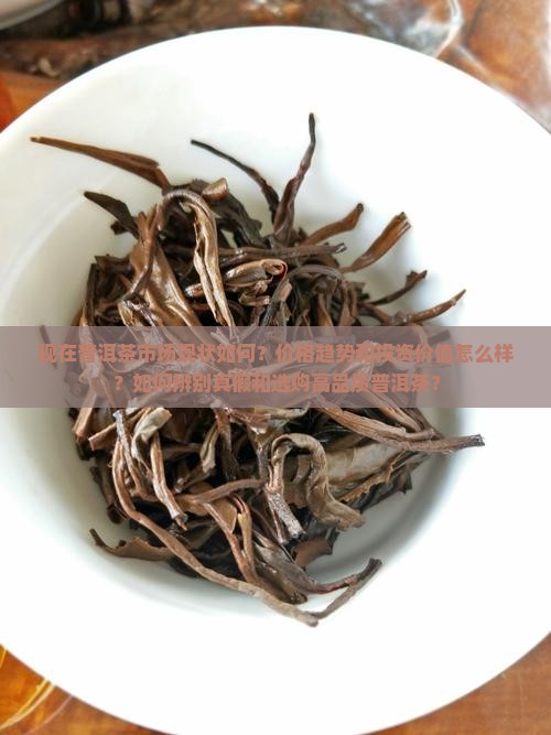 现在普洱茶现状