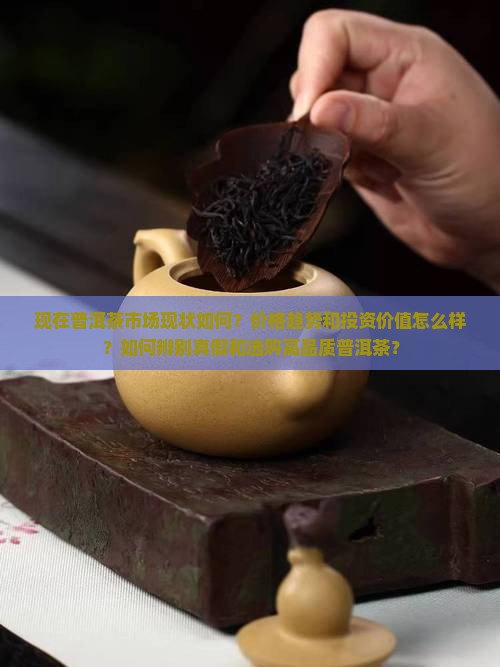 现在普洱茶现状