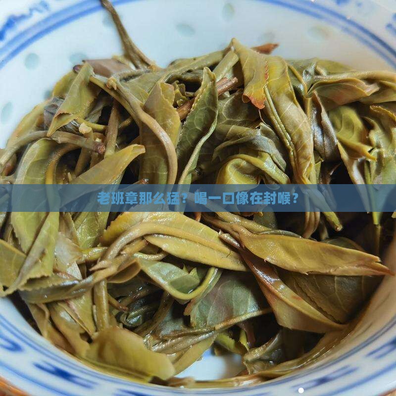 喝老班章如同封喉