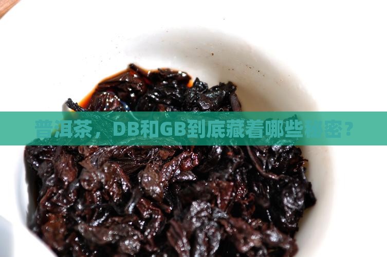 普洱茶db和gb的不同之处