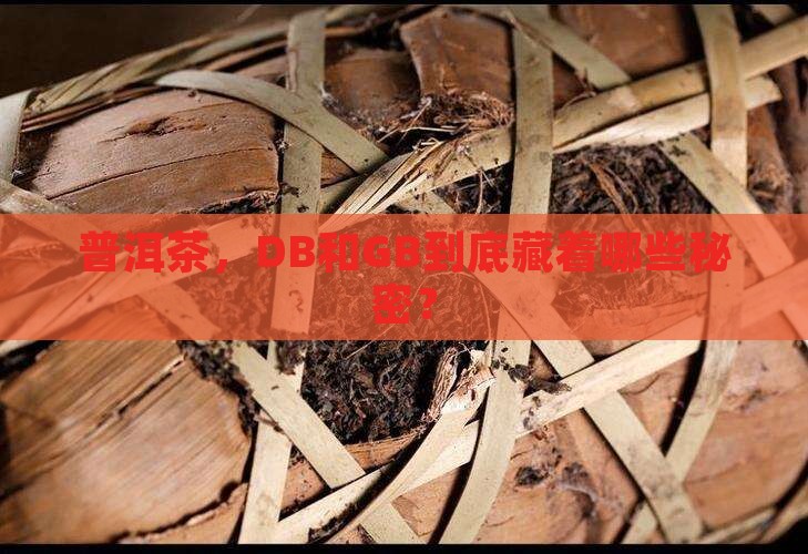 普洱茶db和gb的不同之处