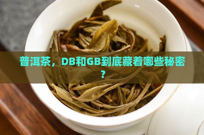 普洱茶db和gb的不同之处