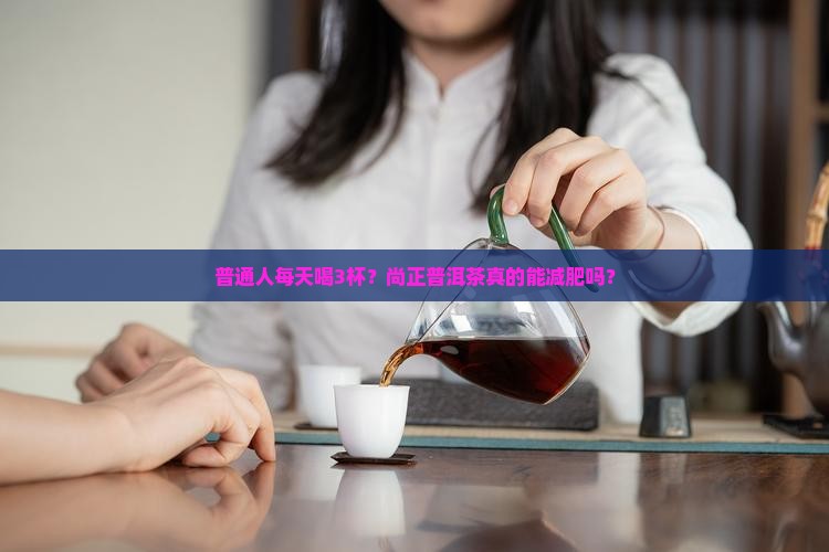 尚正普洱茶减肥