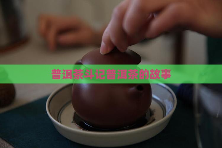 崔氏斗记普洱茶