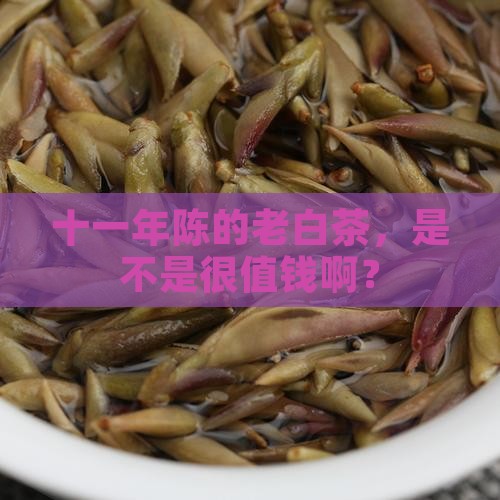 十一年的白茶值钱吗