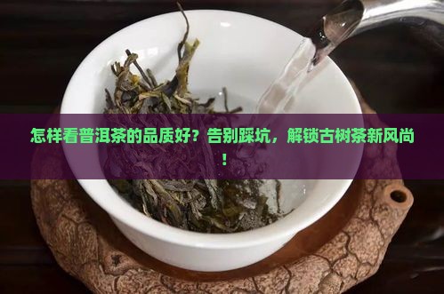 怎样看普洱茶的品质好 怎样看普洱茶的品质好