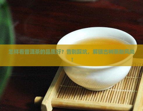 怎样看普洱茶的品质好 怎样看普洱茶的品质好