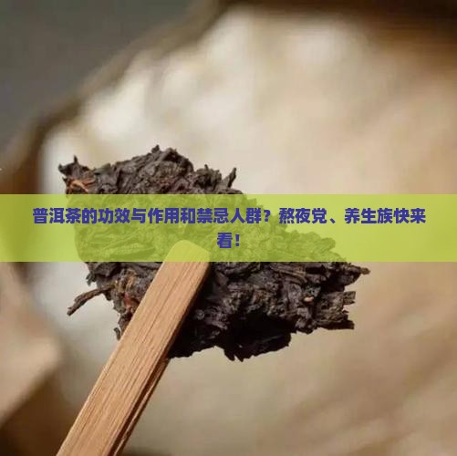 普洱茶的功效与作用和禁忌人群