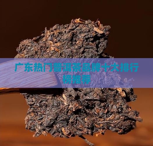 广东热门普洱茶品牌