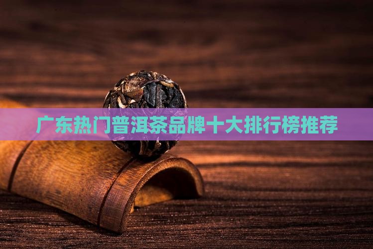 广东热门普洱茶品牌