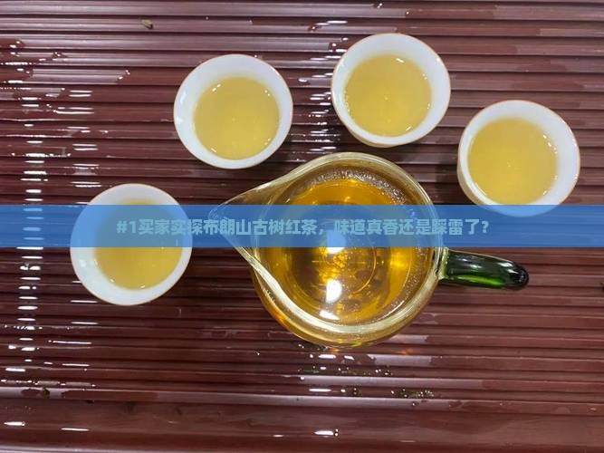 布朗山古树红茶怎么样