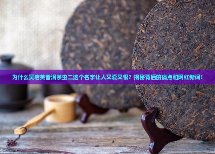 吴启英普洱茶虫二名字由来
