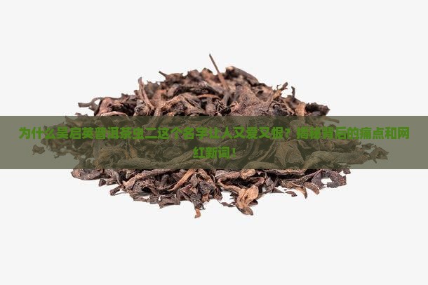吴启英普洱茶虫二名字由来
