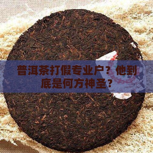普洱茶打假专业户