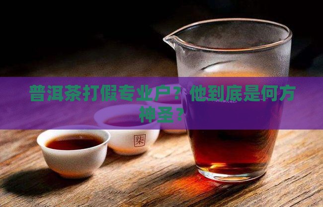 普洱茶打假专业户