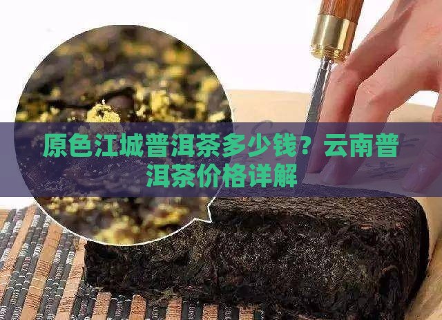 原色江城普洱茶多少钱