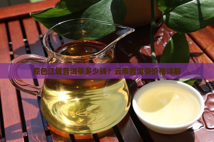 原色江城普洱茶多少钱