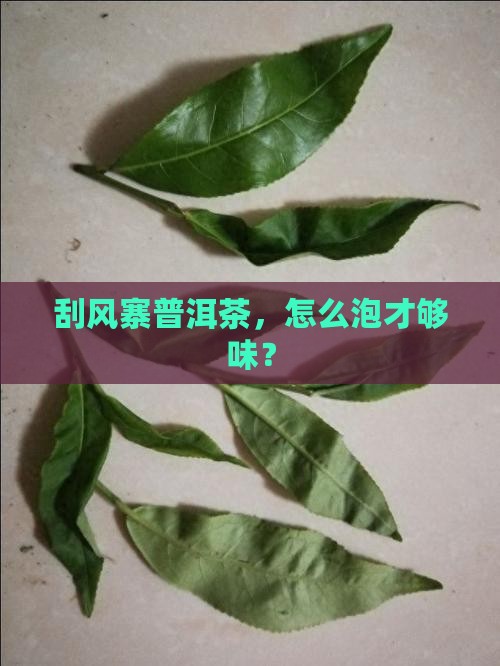 刮风寨普洱茶如何冲泡