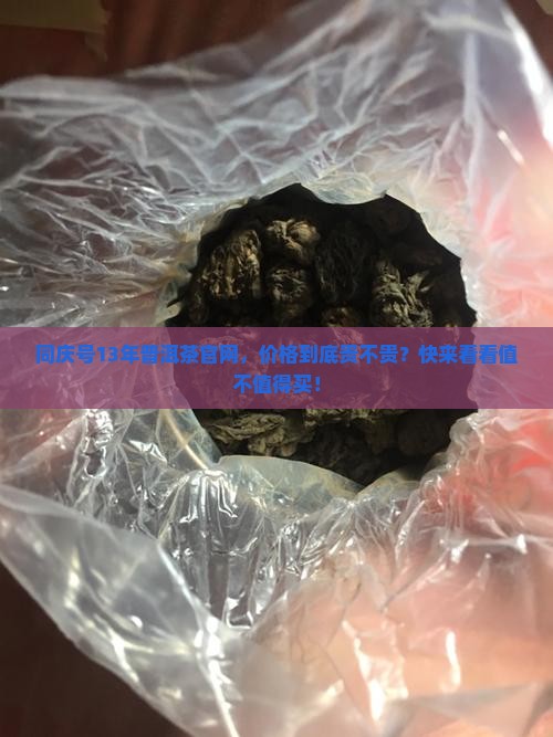 同庆号13年普洱茶官网