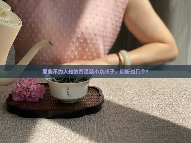 普洱茶小众牌子