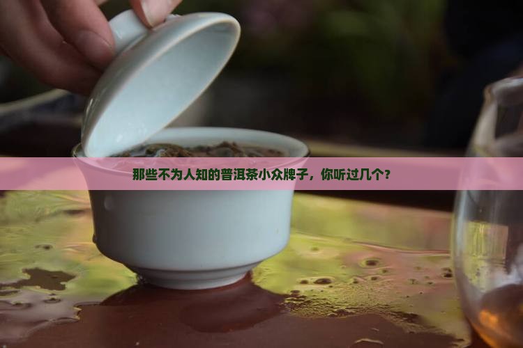 普洱茶小众牌子