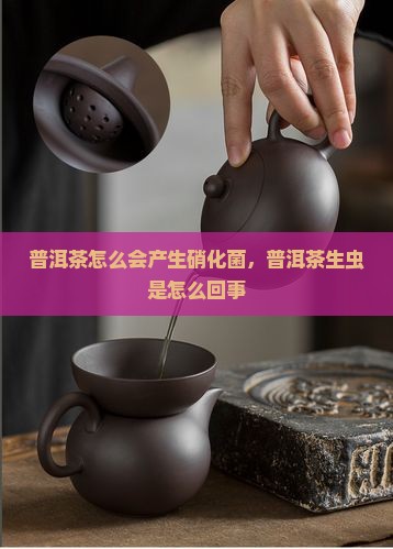 普洱茶怎么会产生硝化菌
