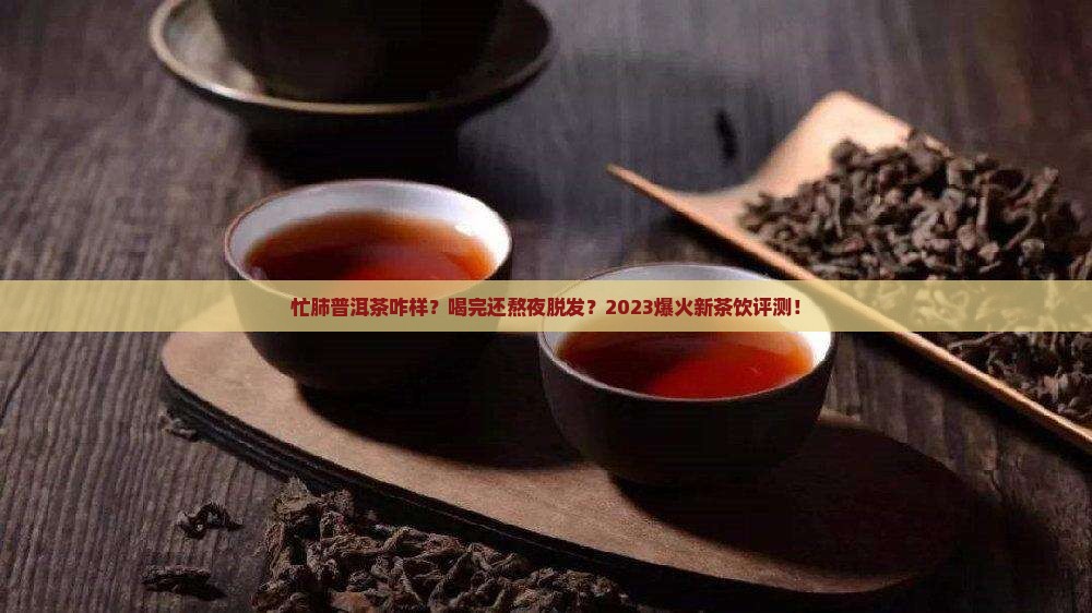 忙肺普洱茶咋样