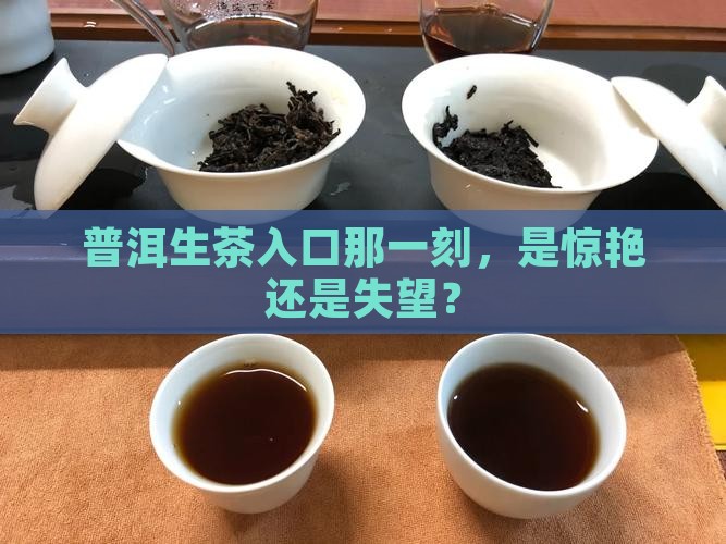 普洱茶生茶入口 普洱茶生茶入口