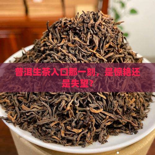 普洱茶生茶入口 普洱茶生茶入口
