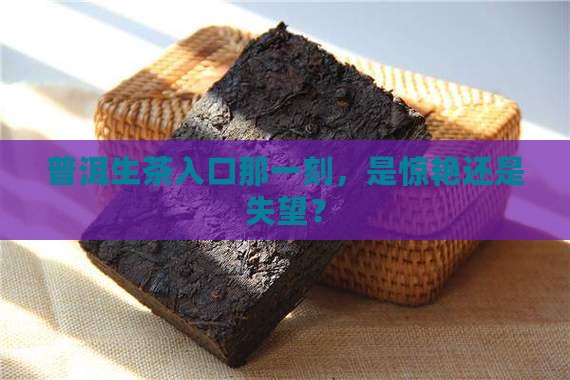 普洱茶生茶入口 普洱茶生茶入口