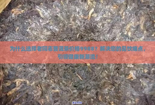 老同志普洱茶价格9988