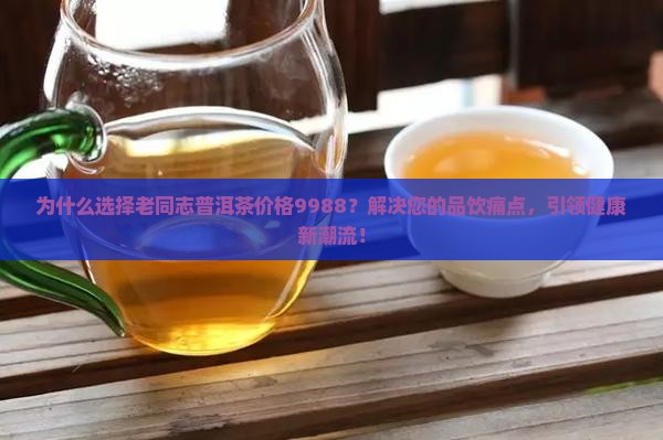 老同志普洱茶价格9988