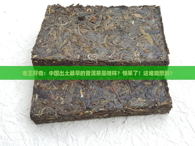 中国出土最早的普洱茶