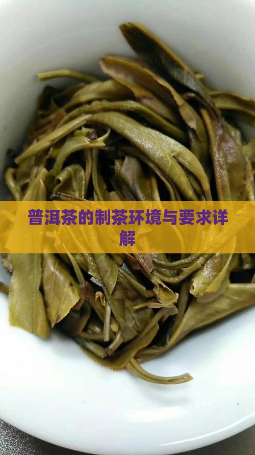 普洱茶的制茶环境要求