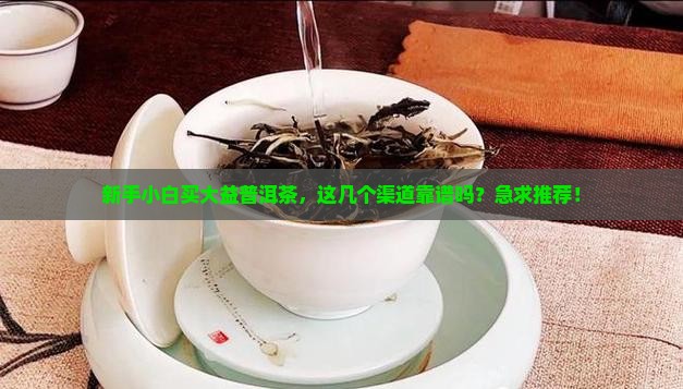 大益普洱茶购买渠道