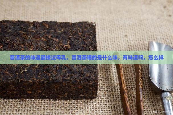 普洱茶的味道最接近母乳